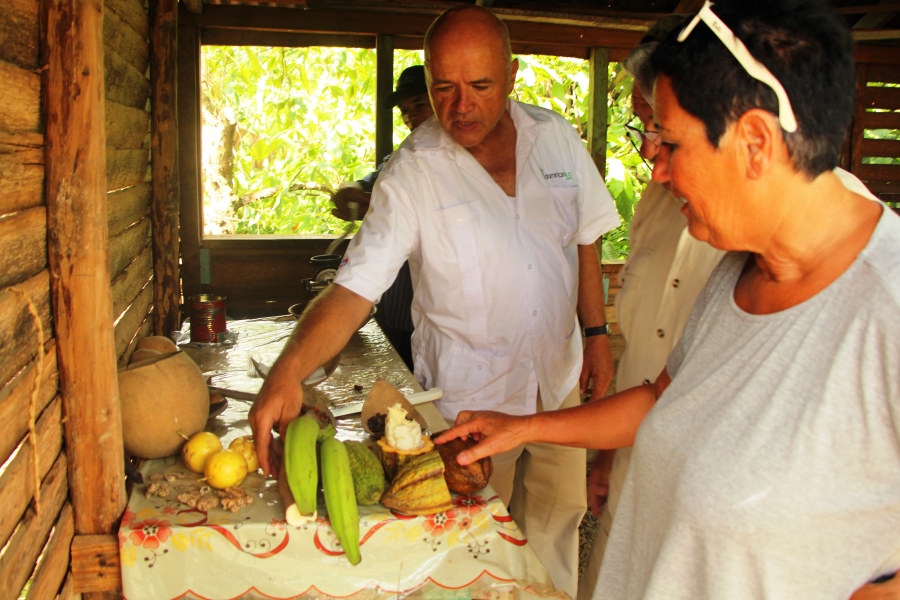 Rudi's Coconut Tour (half day) - a DominicanPlus Signature Tour